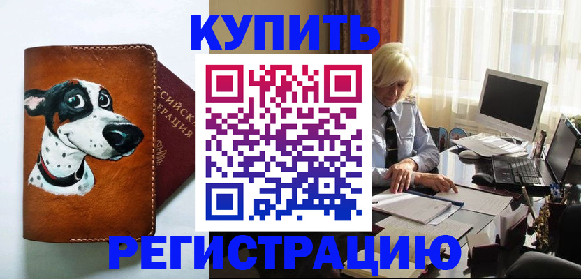 законное оформление прописки в Елизово